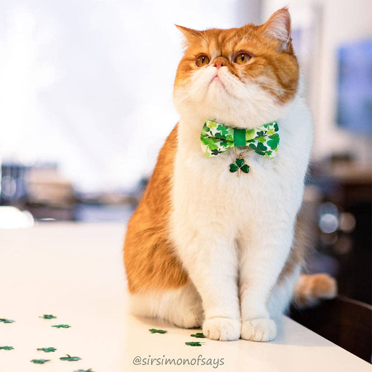 Shamrock Spirit - St. Patty's Bow Tie for Cat + Small Dog