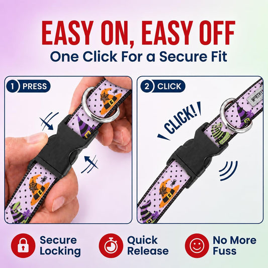 BOOS! Halloween Dog Collar