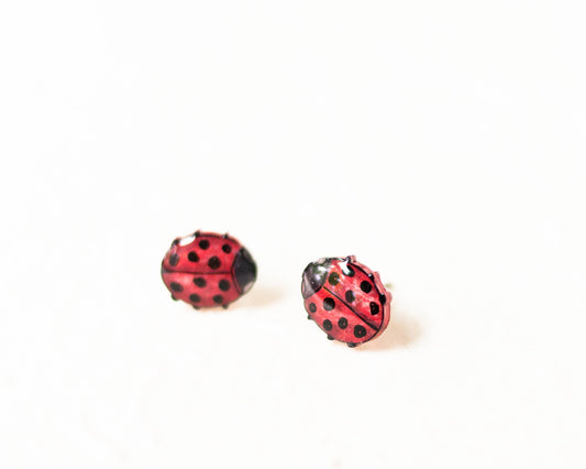 Ladybug Cute Red Spring Insect Stud Earrings