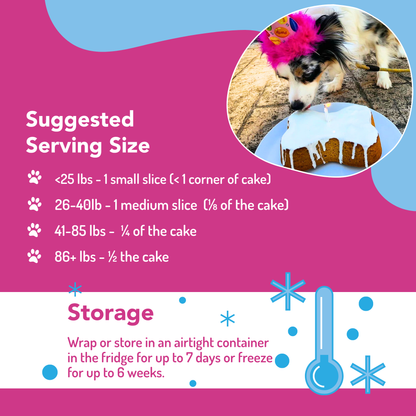 Dog Birthday Cake Kit