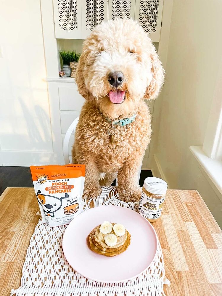 Pumpkin Pup Pooch Pancakes - 100% all natural, Made in USA