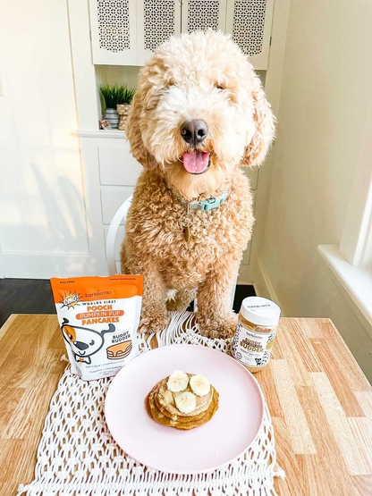 Pumpkin Pup Pooch Pancakes - 100% all natural, Made in USA