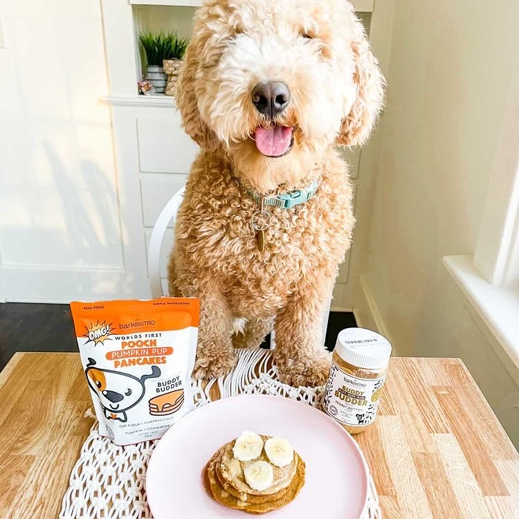 Pumpkin Pup Pooch Pancakes Dog Pancake Mix, 14 oz