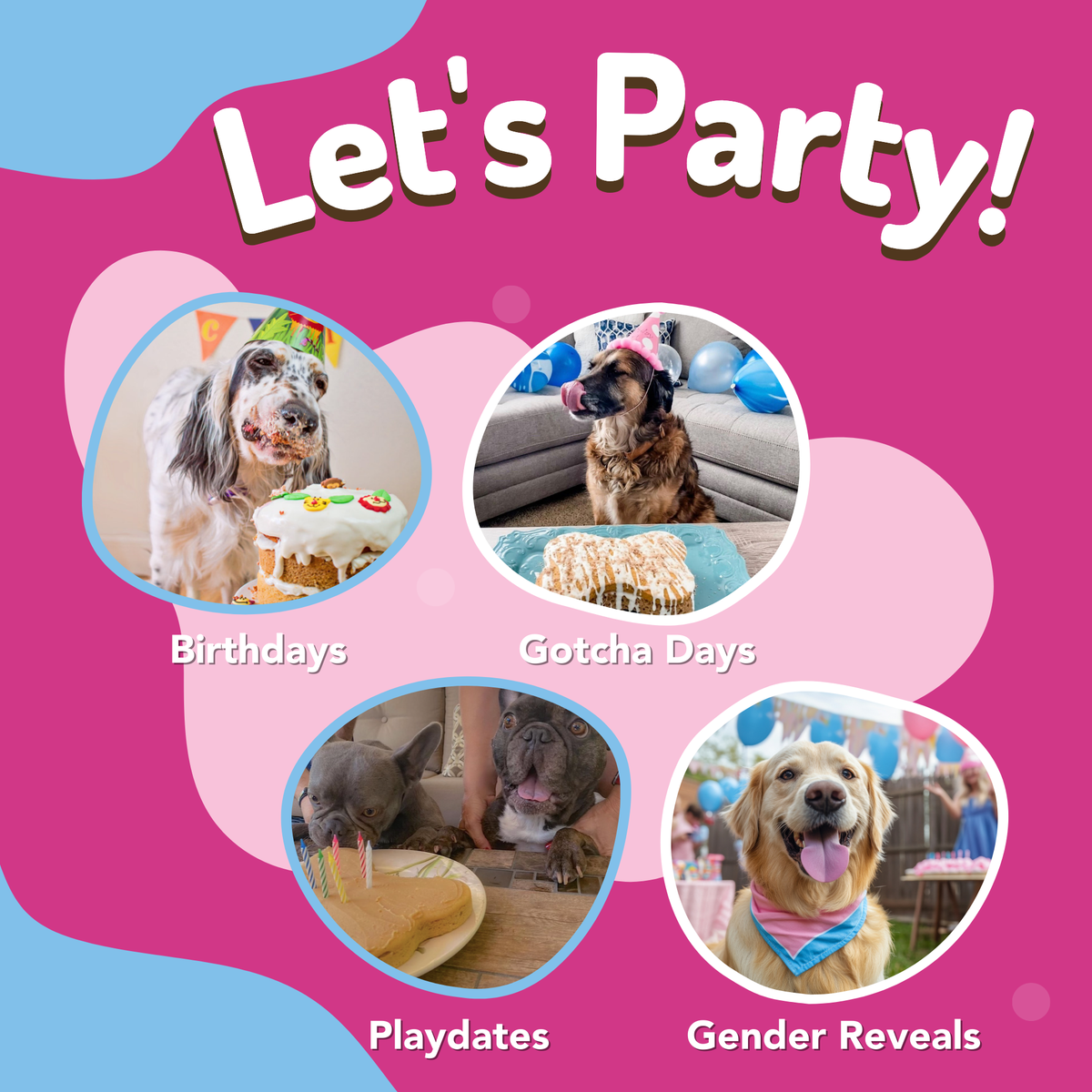 Dog Birthday Cake Kit