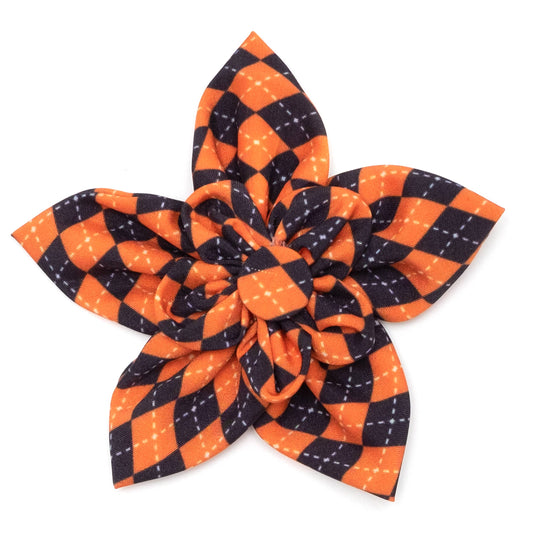 Halloween Argyle Pet Flower