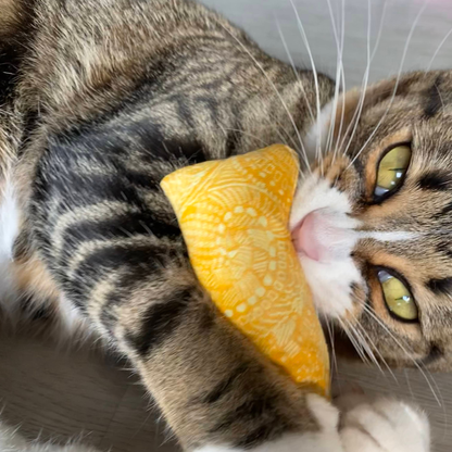 Catnip and Valerian Root Cat Toy | Organic | Purple Plants