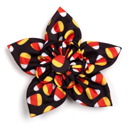 Candy Corn Halloween Collar Flower for Dogs & Cats