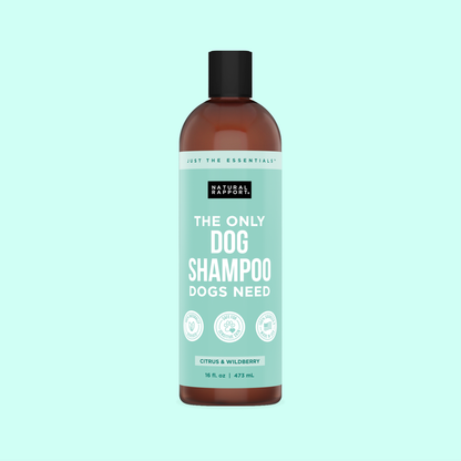 The Only Dog Shampoo Dogs Need