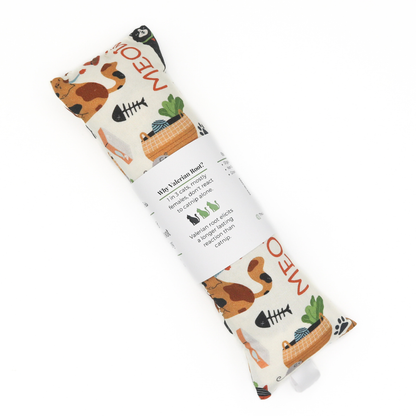 Catnip with Valerian Root Blend Cat Toy | Cats Meow