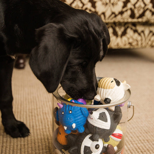 Ruff-Tex® Balls Dog Toy