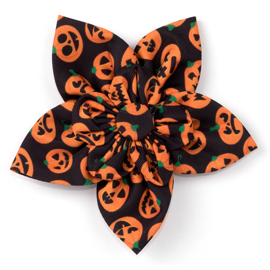 Halloween Jack-O-Lantern Pet Flower