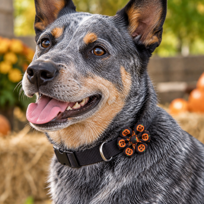 Halloween Jack-O-Lantern Pet Flower