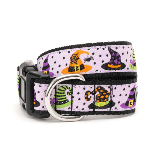 Bewitched Halloween Dog Collar