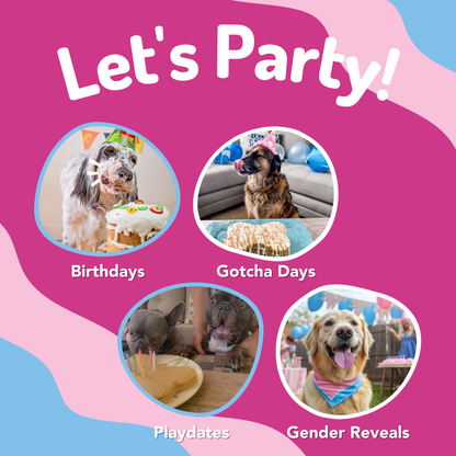 Puppy Cake - Dog Birthday Cake Mixes with Icing