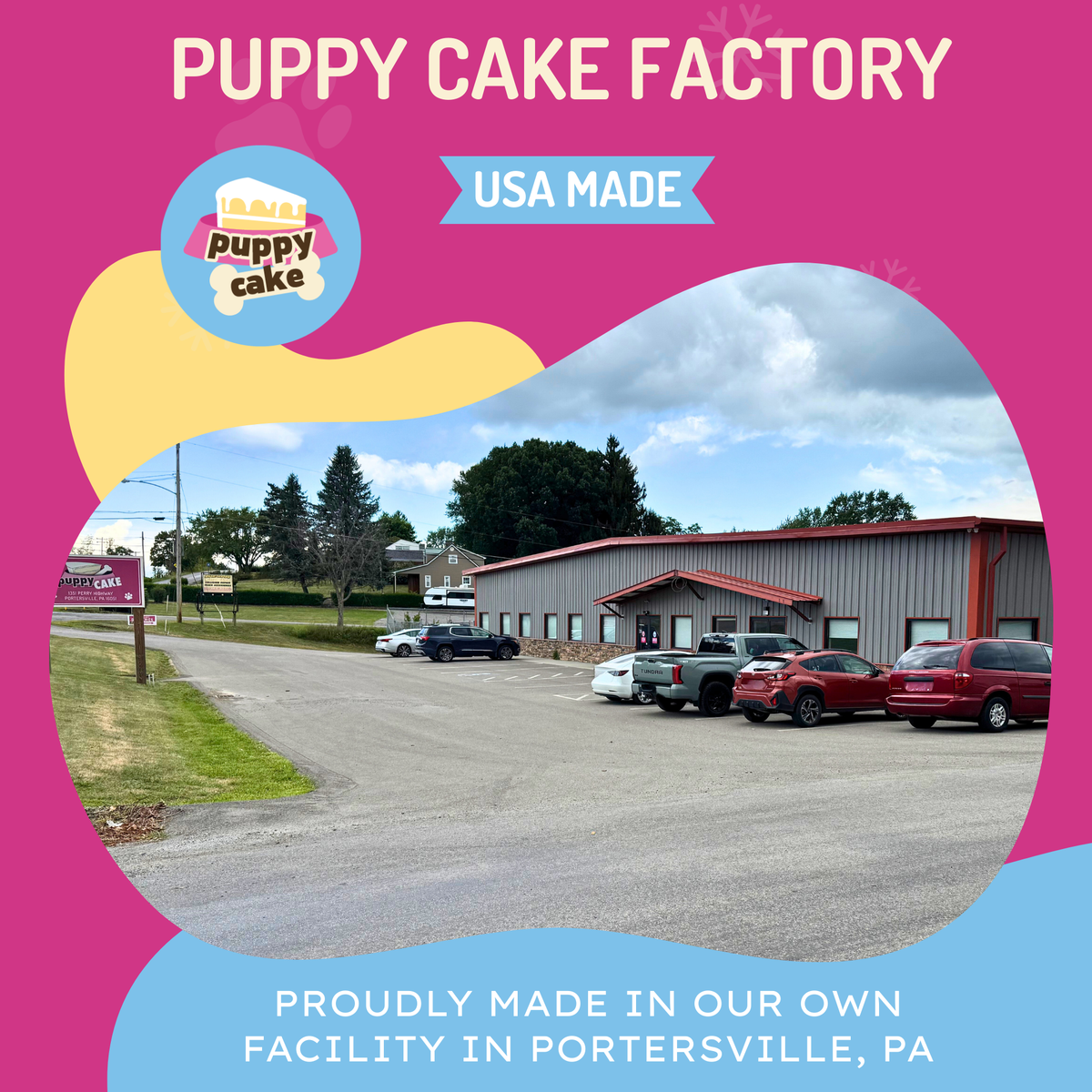 Puppy Cake - Dog Birthday Cake Mixes with Icing