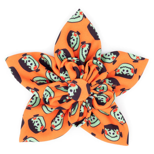 Frank Halloween Pet  Flower