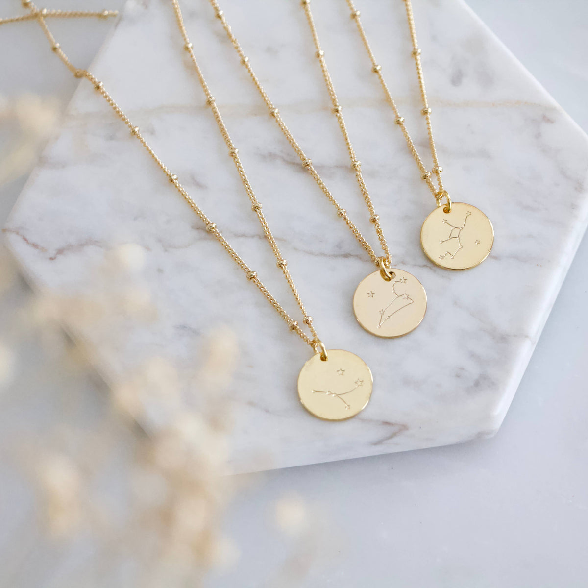 Zodiac Sign Coin Necklace