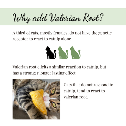 Catnip with Valerian Root Cat Toy | Blue Mice Cat Kicker