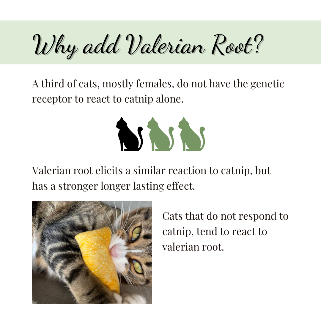 Catnip with Valerian Root Cat Toy | Halloween Ghost | Kicker