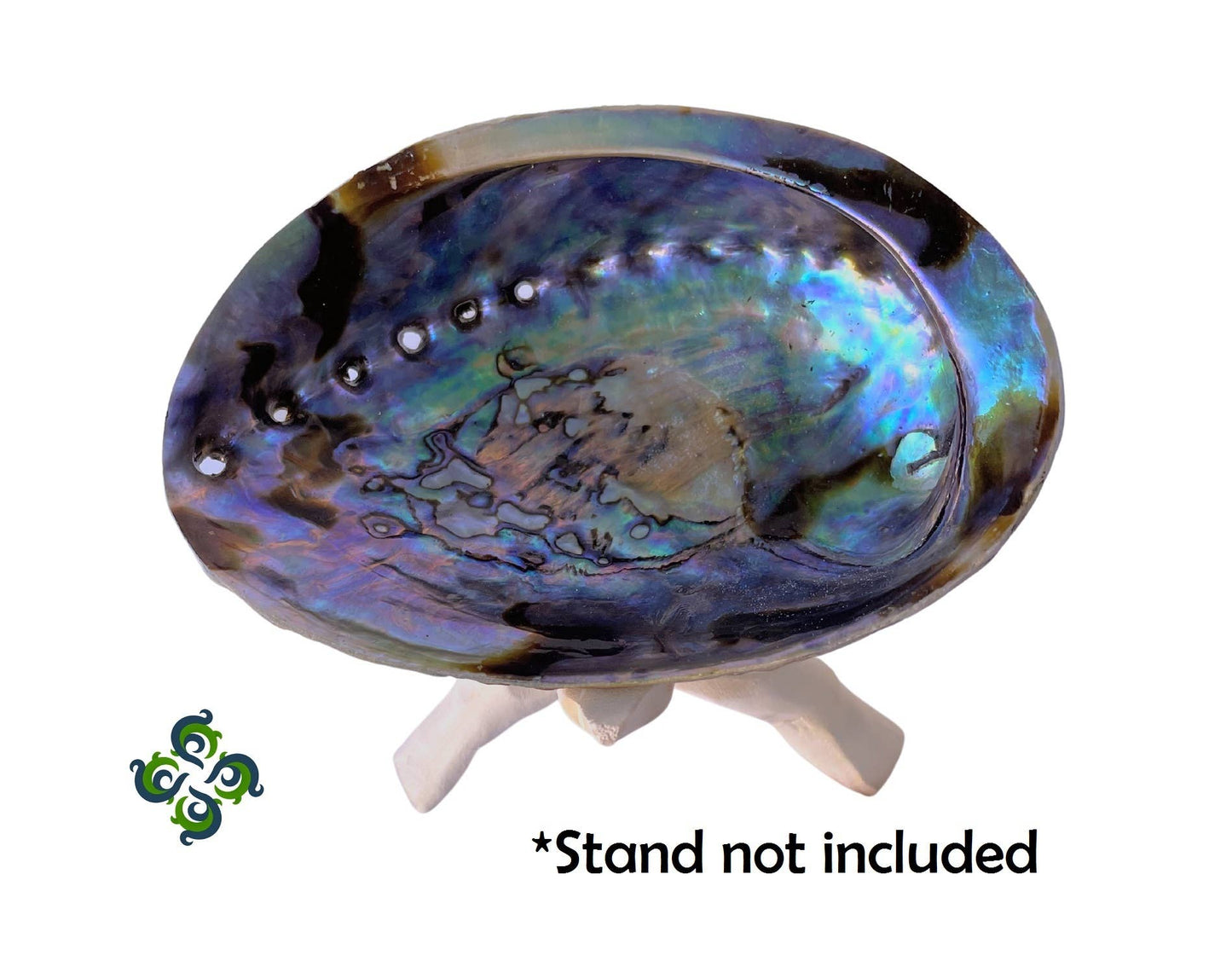 Abalone Shell - 4"-5"