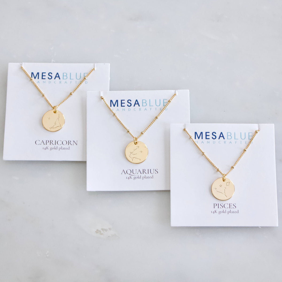 Zodiac Sign Coin Necklace