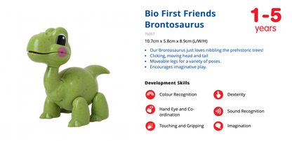 First Friends Brontosaurus