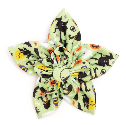 Witches Brew Halloween Pet Flower