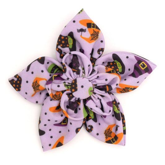 Bewitched Halloween Collar Flower for Dogs & Cats