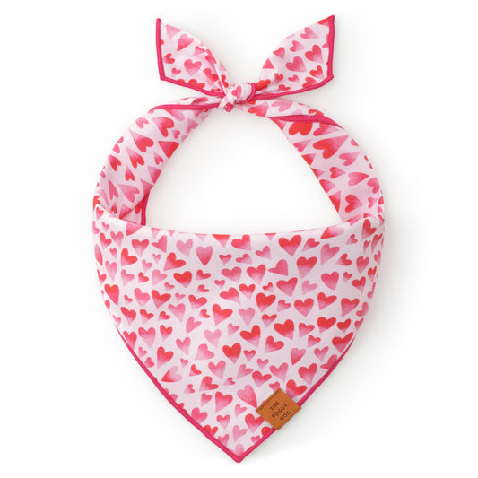 Heart Throb Valentine's Day Dog Bandana